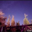 PYB행정사사무소 이미지