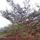 운악골 가평점 이미지