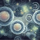 인사이트메디 이미지