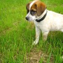 말랑말랑 이미지