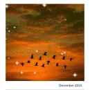 서귀포시 노인복지회관 | 서귀포시노인복지회관 블로글쓰기 마지막날 아름다운 이별