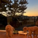 몽롱한 노을 펜션 이미지