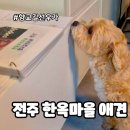 천동로선우가