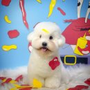 반야시스터 이미지