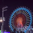 속초당 | 속초연말여행 현지인맛집 속초항아리물회 후기