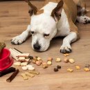 양축농장 이미지