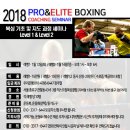 엘리트 복싱 이미지