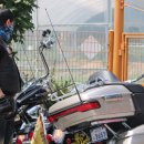 해바라기유원지 이미지