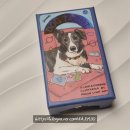 메이저독 | 타로카드 추천 독타로 한국판 구매 후기