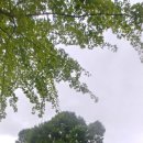 새롬동_복합커뮤니티센터 옆 이미지