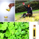 백두건강주식회사 이미지