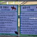 세종시장군승마장 이미지
