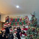 준머리방 이미지