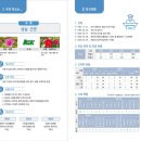 시지팜 | [창원인쇄 전문]에어림 리플렛,마산서중학교 학교요람 고품격 맞춤 제작 후기!(디자인퍼휴먼)
