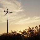 하늘공원 이미지