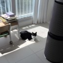 북구우리들병원 | 울산 북구 공공산후조리원 13박 14일 후기