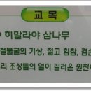 대구다사초등학교 이미지