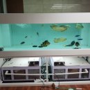 비즈아쿠아수족관 이미지