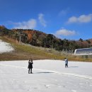 달빛이 머문 펜션 이미지