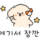 구공스테이 사색 이미지