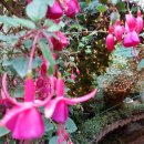 명랑공인중개사사무소 이미지