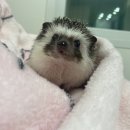 소중한유여성외과의원 이미지