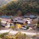 신흥사 이미지