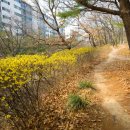 권선중앙공원 배드민턴장
