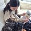 개냥이 연구소 이미지