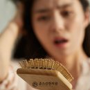 원형한의원 이미지