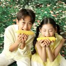더홍스튜디오 이미지