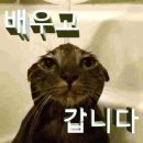 (주)시디컴미디어 | 정면돌파하러 간다 우리들의 화음으로