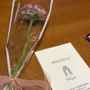 예랑 | w01 | 웨딩홀 투어는 기빨려요 (예랑 후기까지!)