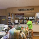 용문첨성대불한증막 이미지