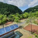 좌구산캠핑장 이미지