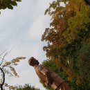 하얀꽃 피던날 이미지