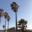 다올 | 우도 가족 숙소 다올펜션 만족했던 숙박후기