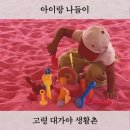 대가야테마관광지 물놀이장 | 대구근교 아이와 가볼만한 곳 고령 대가야생활촌, 무료입장 여름 물놀이장개장 모래놀이터