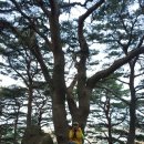 조나단모텔 이미지