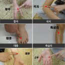 한국서봉경혈지압학회