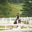 안식목장 이미지