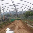 밤두둑농장 이미지