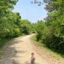 고양생태공원(교육센터 내) 이미지