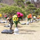 갈월공원 이미지