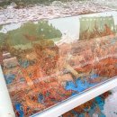 포항싱싱 이미지