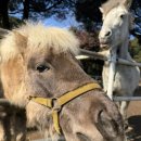 승준목장 이미지