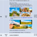 크루즈얼라이언스주