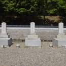 양지할아버지 이미지