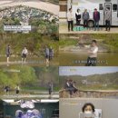 낭만 물고기 이미지