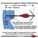 Correct Arrow Length for beginner 이미지